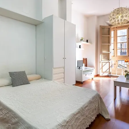Centro Historico Apartment Malaga